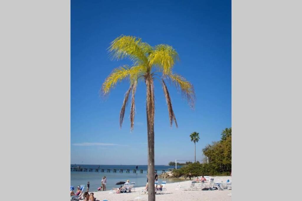 Riverview, Studio 507, Beach Steps Away!+Pool+Wifi Ruskin Buitenkant foto