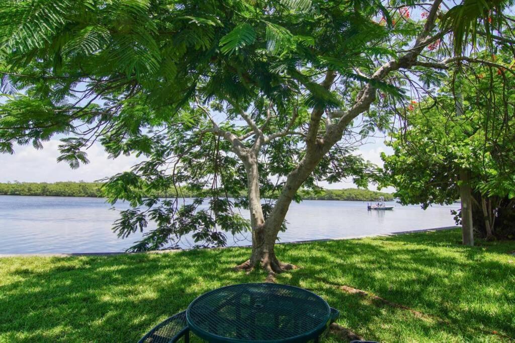 Riverview, Studio 507, Beach Steps Away!+Pool+Wifi Ruskin Buitenkant foto